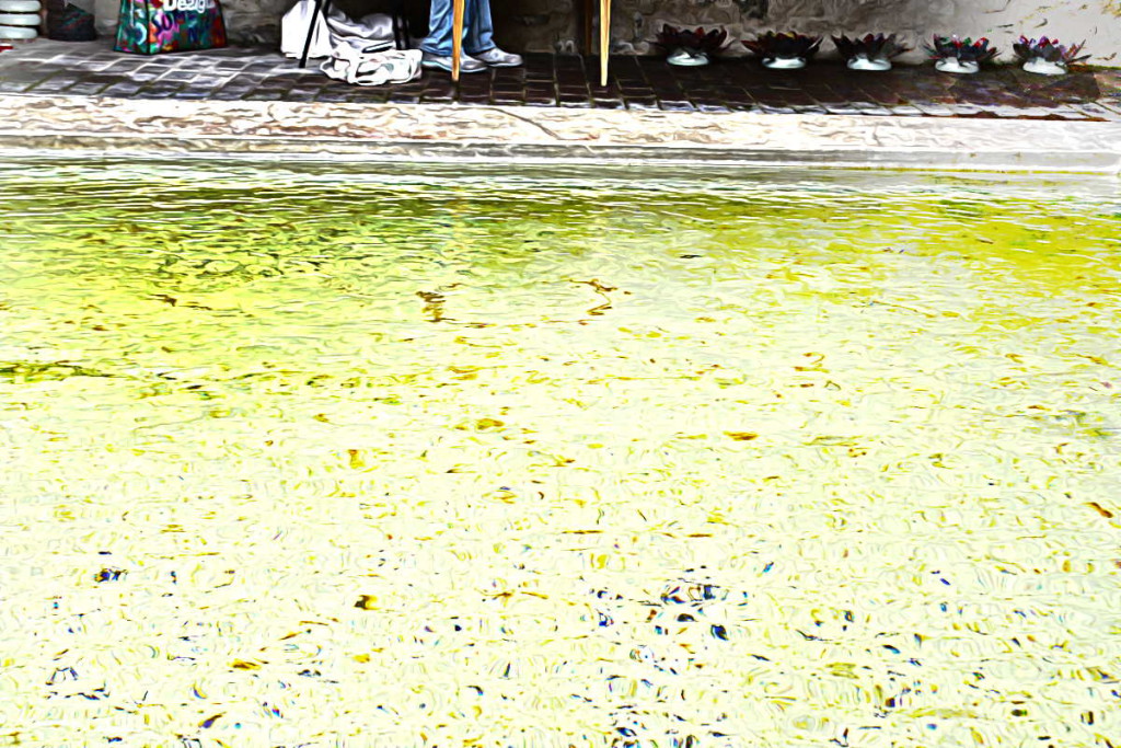 Sally DUCROW - lavoir - Savins
