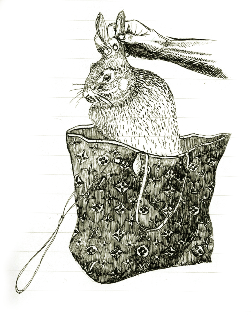 Lapin sortant d'une sacoche Vuitton